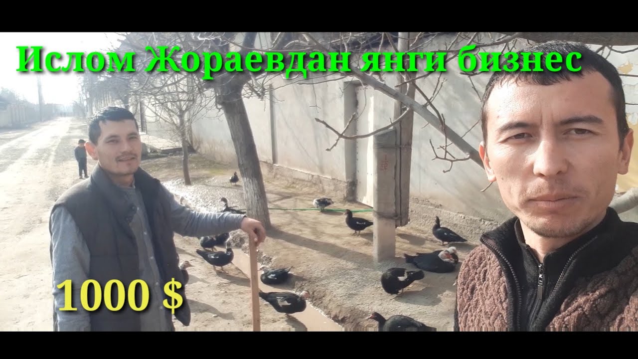 Енг самарали бизнес турларидан,кам пул тикасиз коп даромад оласиз.УРДАКЧИЛИК.