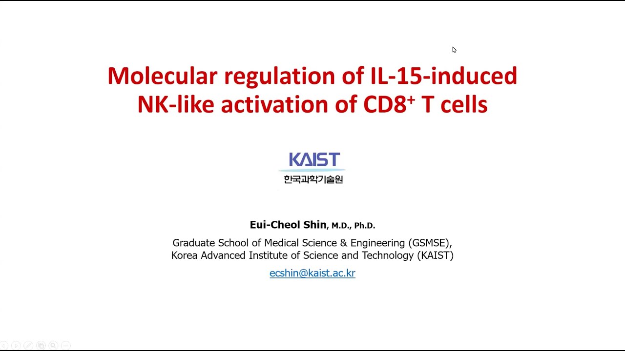 Molecular regulation of IL 15 induced NK like activation of CD8 T cells