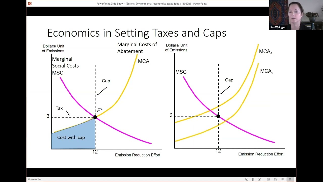 Applying Environmental Economics to Policy: Taxes, Fees, Cap & Trade
