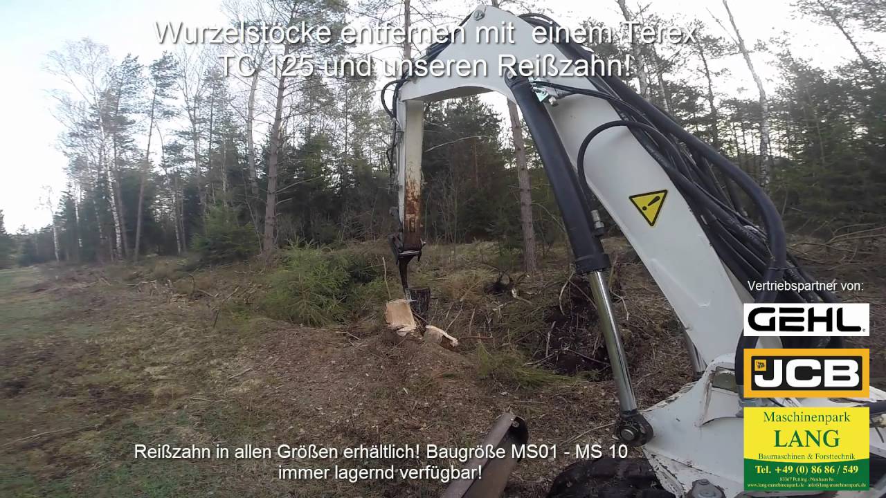 Wurzelstöcke entfernen mit Reißzahn und Terex TC 125 @ Lang Machinery