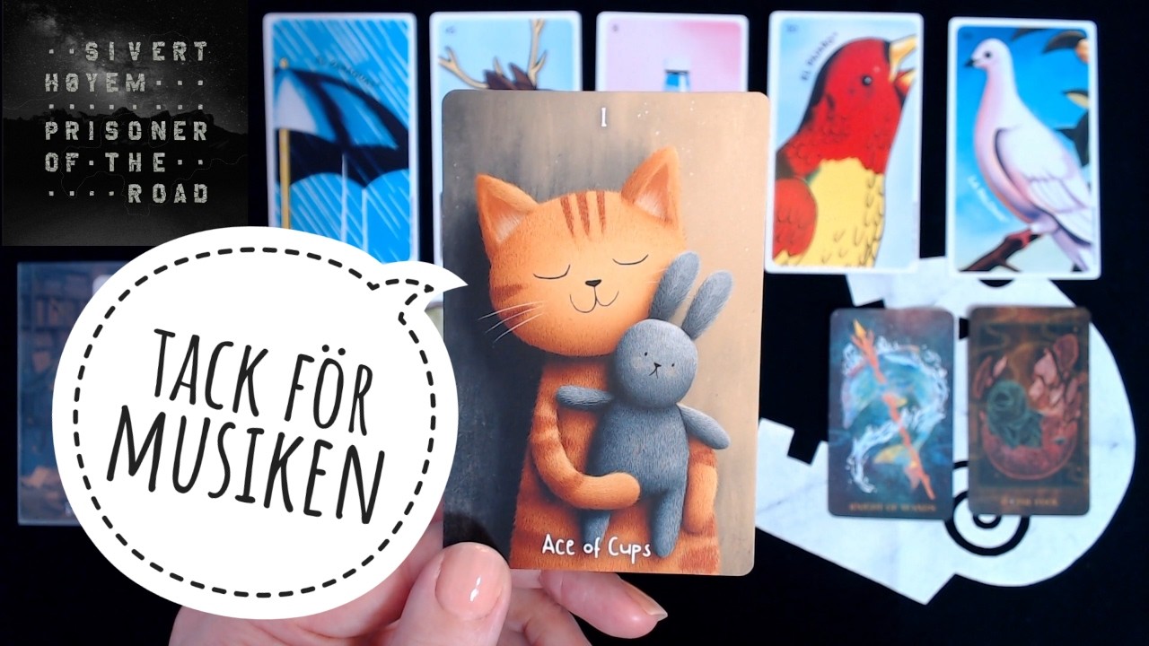 Freaks reagerar på Sivert Høyem - en tarotläsning av 