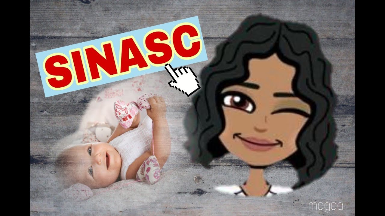 SINASC - SISTEMA DE INFORMAÇÕES SOBRE NASCIDOS VIVOS | RESUMO