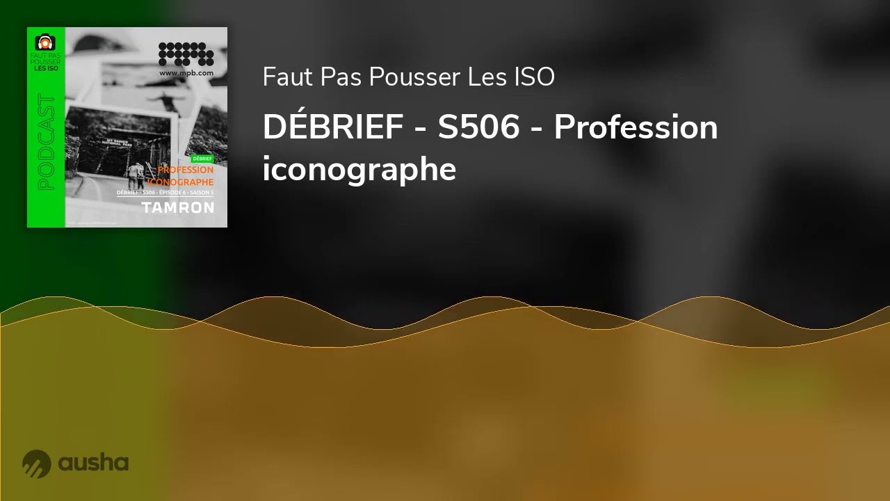 D&Eacute;BRIEF - S506 - Profession iconographe