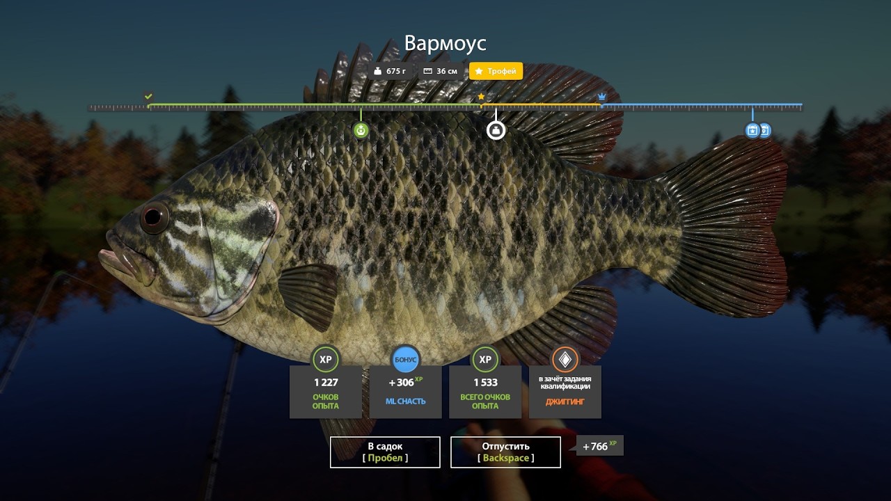 Russian Fishing 4 Клёвые места. Трофейный Вармоус оз. Лосиное.