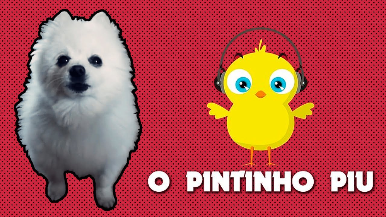 O Pintinho Piu em cachorrês