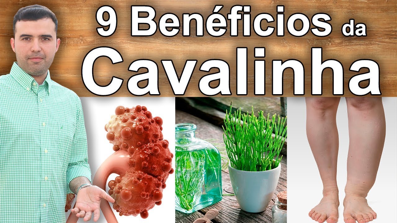 Para Que Serve a Cavalinha - Propriedades e Benef&iacute;cios Para a Sa&uacute;de Renal, Urinaria, Sangue e Ossos