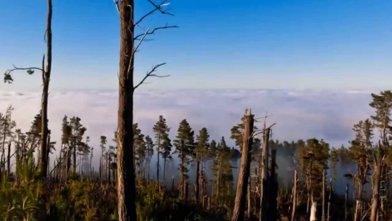 Señor tu dia pasa Himno 364 (Himnario Seleccionado de la Iglesia de Dios)