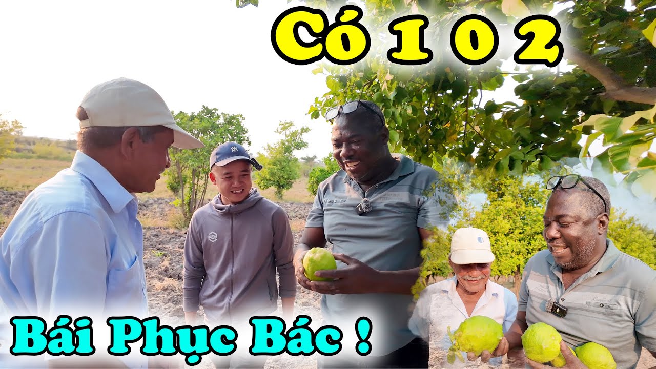 Công Giáp || Sao Bác Giỏi Quá Vậy ? Bác Trưởng Công An Huyện Sững Sờ Khi Nhìn Thấy Cơ Ngơi GÌ ?