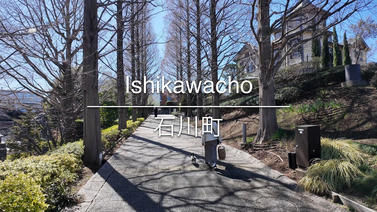 [4K] Ishikawacho 石川町 [Kanagawa 神奈川] [Walk 散歩] #1641