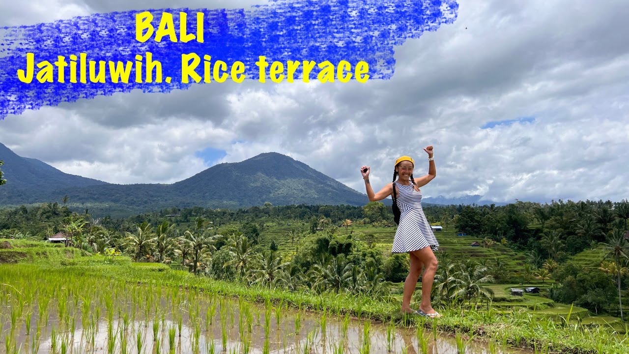 Bali Rice terrace Jatiluwih / Бали рисовые террасы Джатилувих