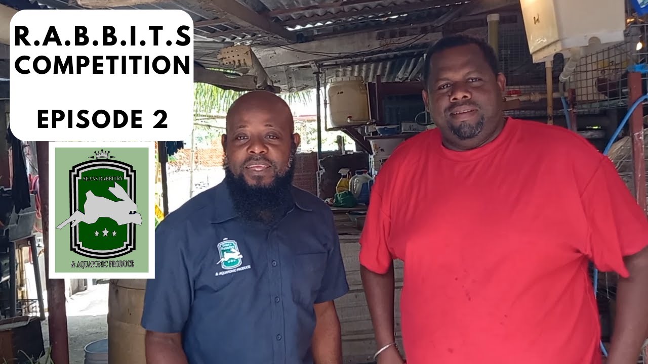 R.A.B.B.I.T.S Competition Episode 2