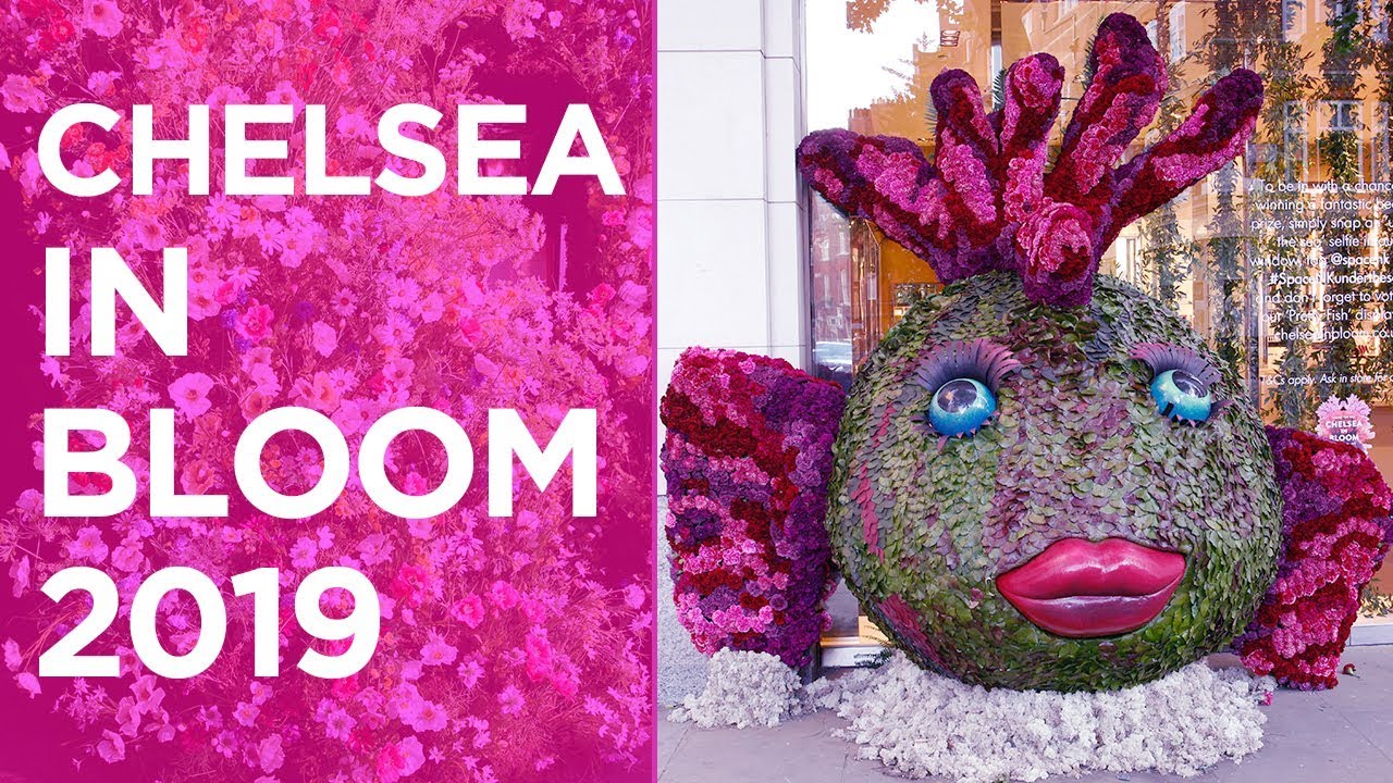 🌺🌸 Chelsea in Bloom 2019 🌸🌺