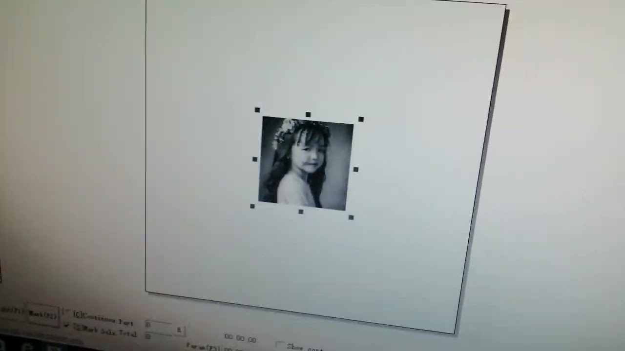 How to mark photo on stainless steel by fiber laser marking machine?