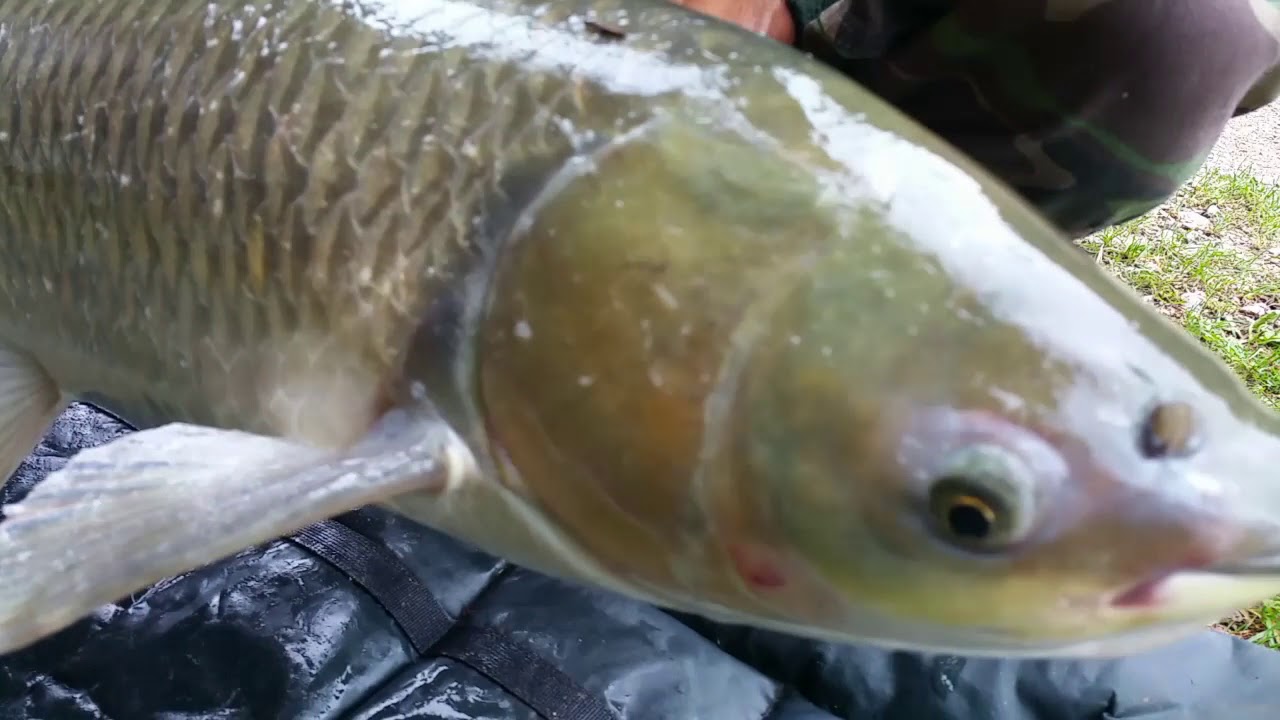 Rybačka na rybn&iacute;ku Jasov