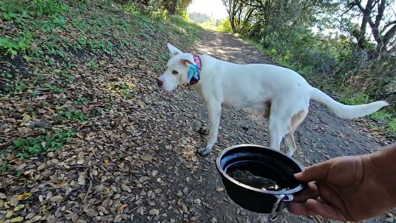 Sage, Ezra and Archie on Monday the 2nd of March, 2026