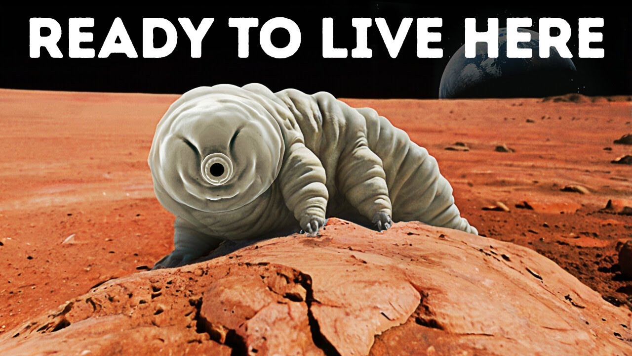 The Only Creature That Can Survive On Mars
