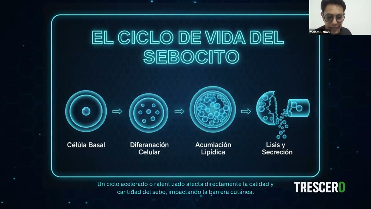 Clase 3 Tricoterapeuta 