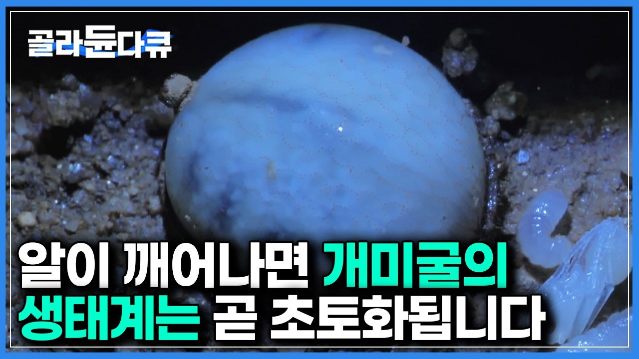 곤충 세계에서 가장 놀라운 위장 능력을 가진 알의 소름돋는 정체｜다큐프라임｜#골라듄다큐