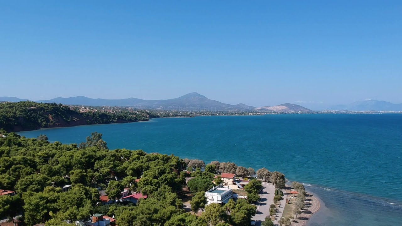 DILESI OCTOBER 2019