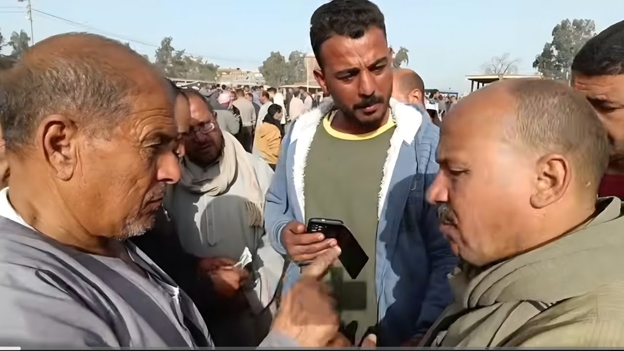 الاخرص بقا بيتاجر وانت لسه بتفكر تشتغل في المواشي محدش هايقولك بيكسب كام لاكن لازم انته تكون ايدك 