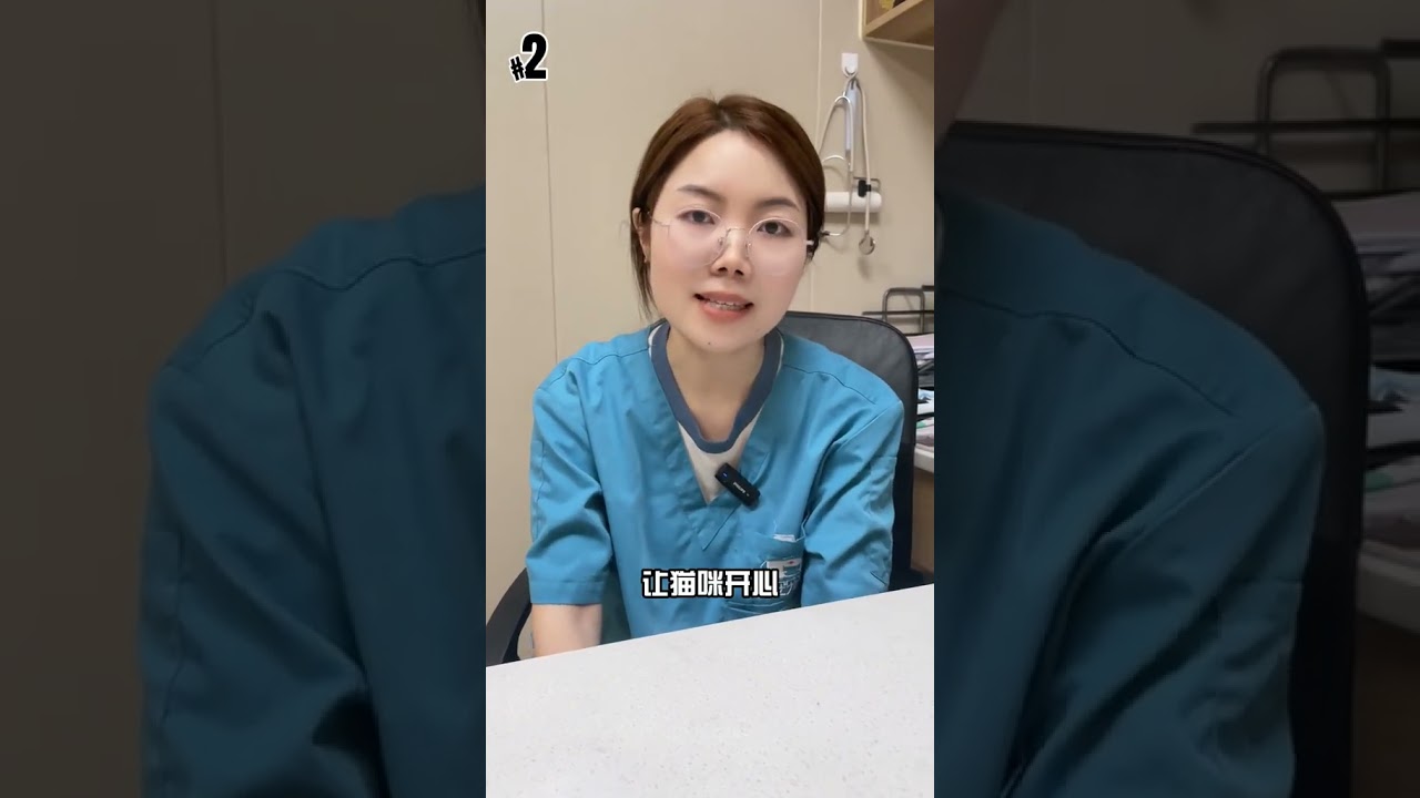 猫尿闭的前期表现是什么？#猫咪尿闭 #猫咪尿闭的表现 #预防猫尿闭 #猫咪尿闭怎么办 #猫咪科普