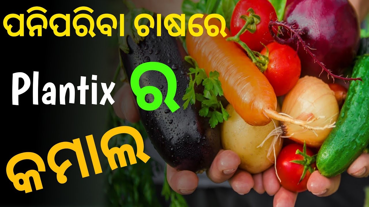 ପରିବା ଚାଷରେ plantix ର କମାଲ How to use plantix app (odia) | plantix aap | plantix aap 2024