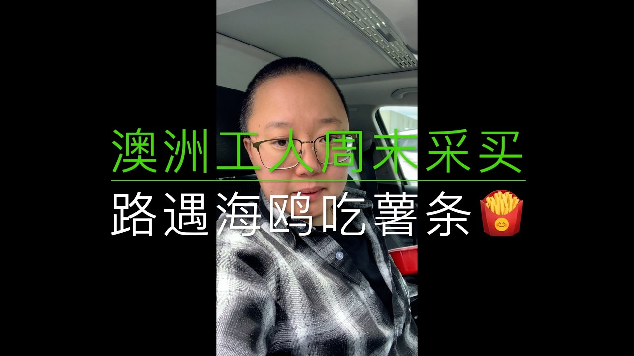 澳洲工人周末采买 路遇海鸥吃薯条