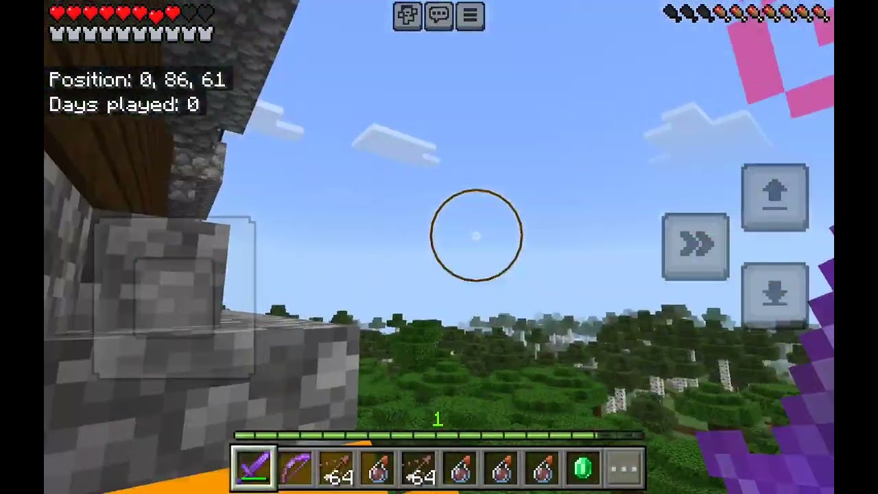 I did a speed run for getting a totem in minecraft (gone wrong)