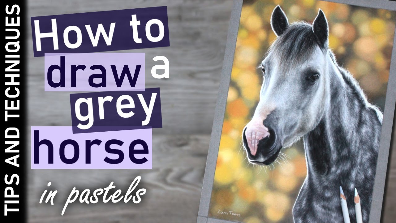 How to draw a grey dapple horse in pastels | Drawing fur/hair tips