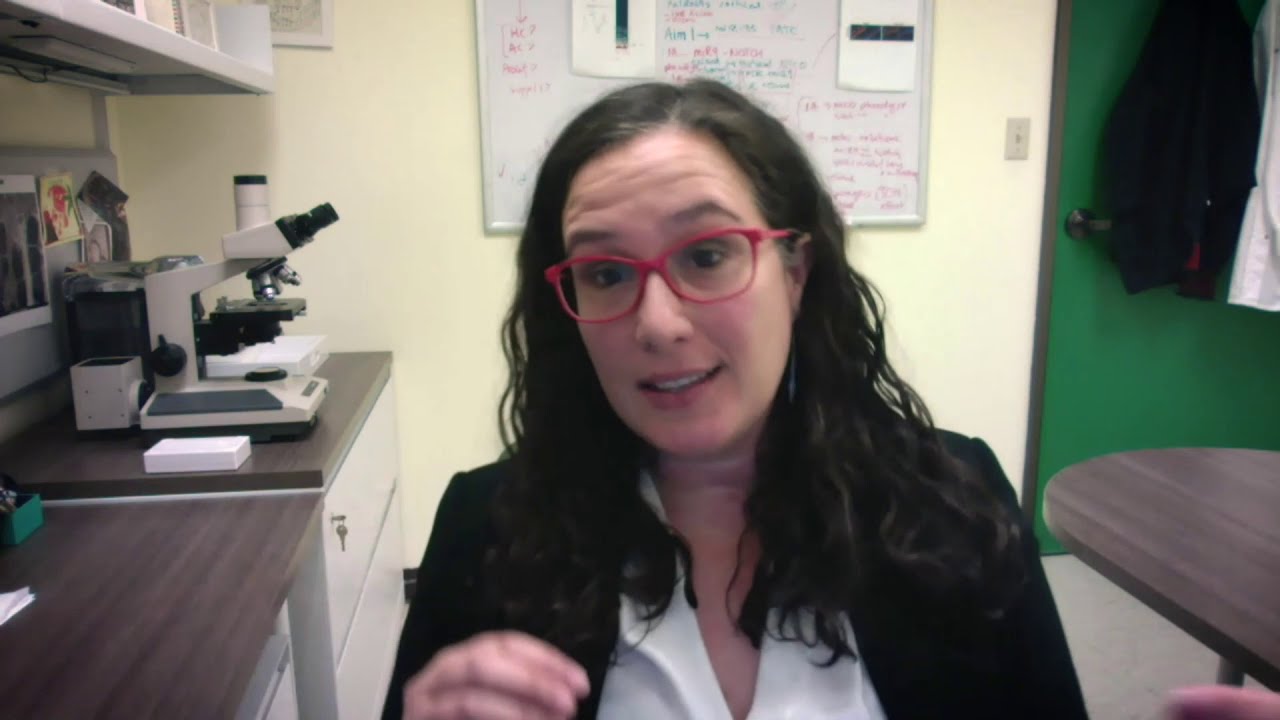 Catalyst for a Cure 2021 Research Progress Report