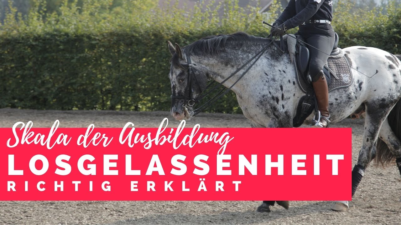 Die Losgelassenheit | Skala der Ausbildung mit Sabine Ellinger