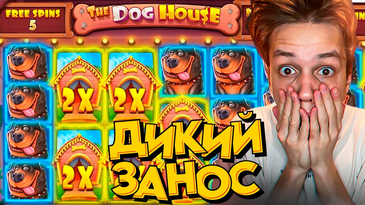 ДИКИЙ ЗАНОС НА х1000 в DOG HOUSE MEGAWAYS! ПОВЫСИЛИ ШАНСЫ на РТП!