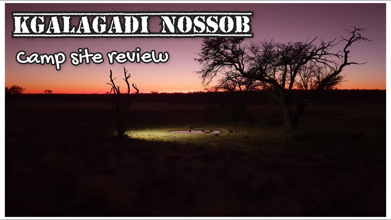 Nossob: Kgalagadi Camp site review, what to expect, sightings, adventures, stories and favorite bits