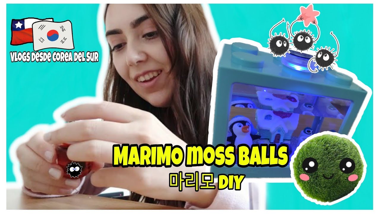 Unboxing de MARIMO🟢, la mascota MÁS FÁCIL de CUIDAR ☺️( Marimo Moss Ball, 마리모 )| Barbara's Life