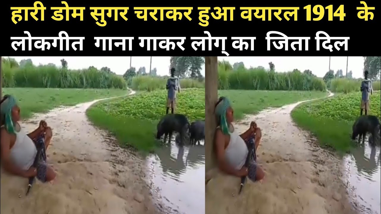 लोकगायक रामेश्वर गोप कवि हीरा  डोम द्वारा  1914मे रचित  गाना को गया #Times of india Bihar News