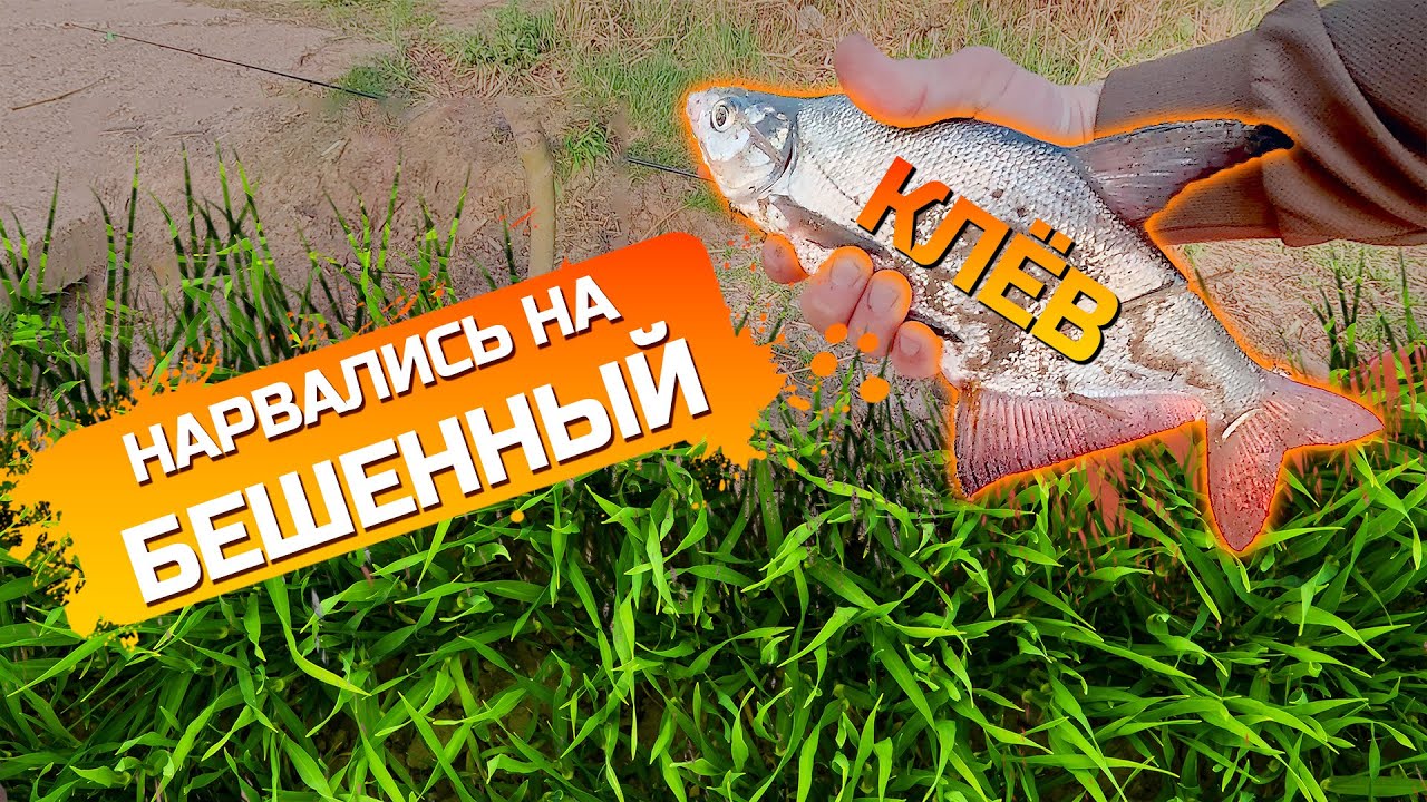 Рыбалка в Тетеево Республика Татарстан! Чехонь и Сопа!