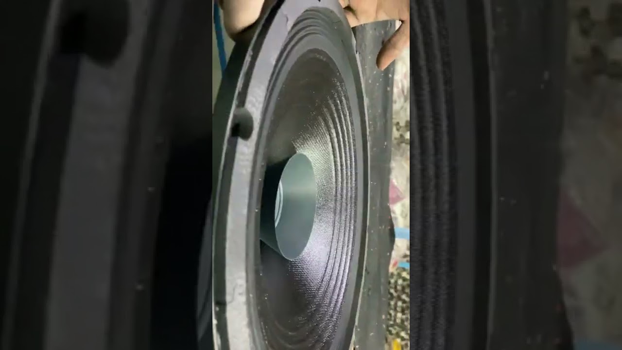 B+PLUS 15&rdquo; 600 WATT DM HIGH POWER SPEAKER