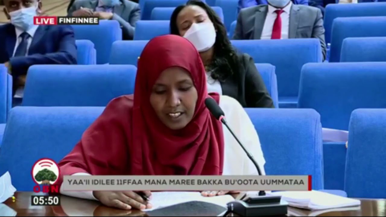 Gaaffilee Hirmaattota Mana Mareerraa ka'ee