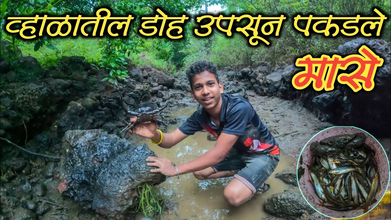 व्हाळातील डोह उपसून मासे पकडण्याची मज्जा|पकडले मासे आणि मोठा खेकडा|Kokan Fishing Vlog