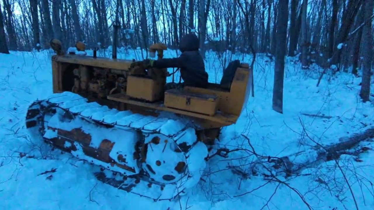 Гусеница Caterpillar D2 была унижена белым дубом, так что извивания сравняли счет.