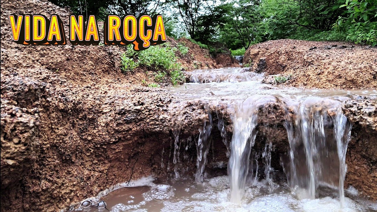 A mágica que a chuva nos proporciona 