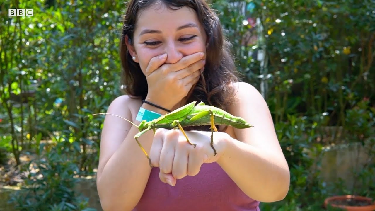 Travelling whilst...deaf - BBC Travel Show
