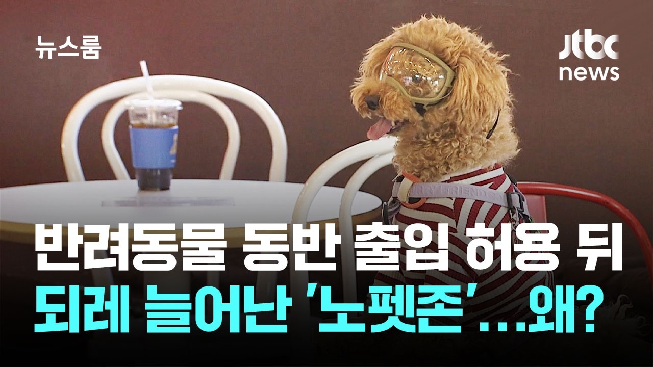 반려동물 동반 출입 허용 뒤 되레 늘어난 '노펫존'…왜? / JTBC 뉴스룸