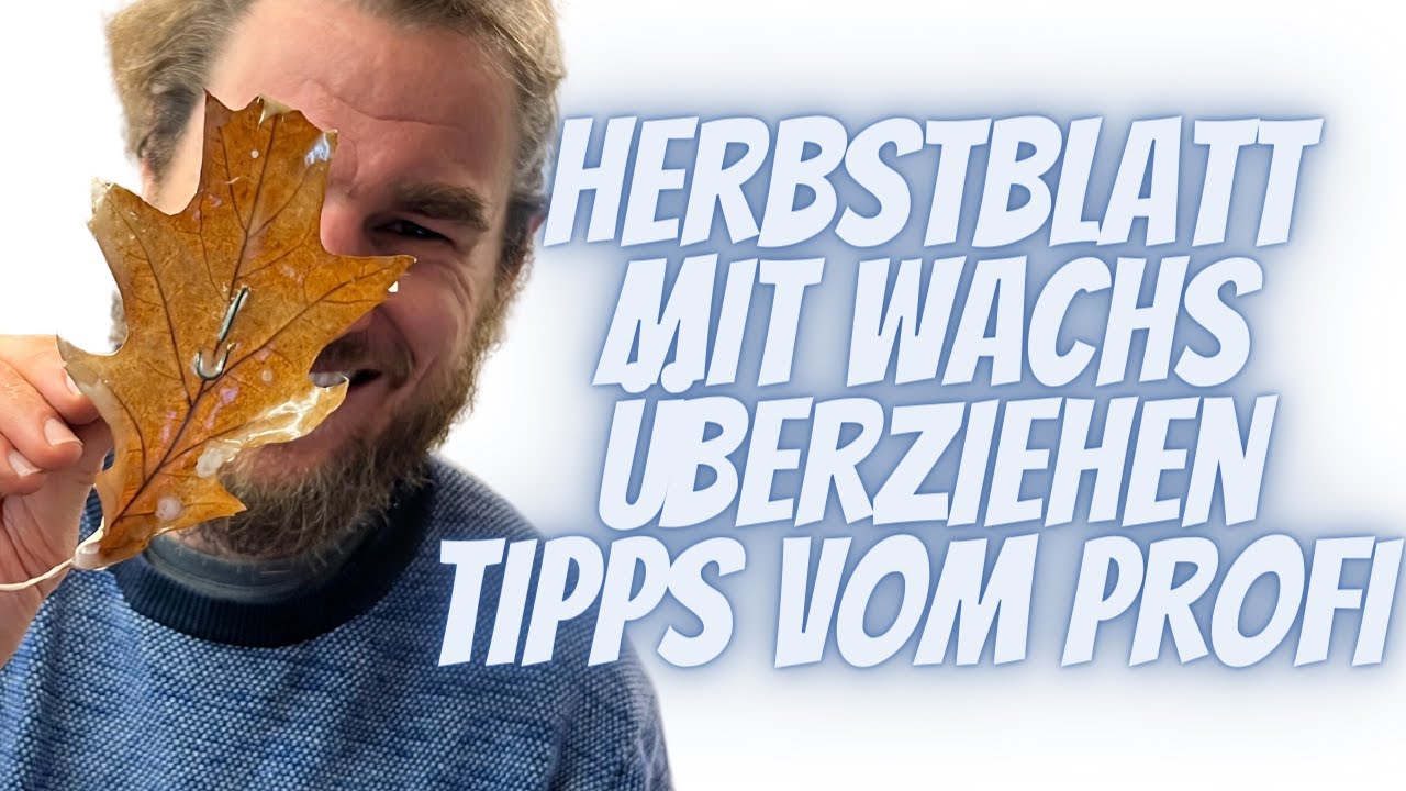 Herbstblatt mit Wachs &uuml;berziehen - Die Wichtigsten Fakten vom Profi - Herbstblatt Konservieren