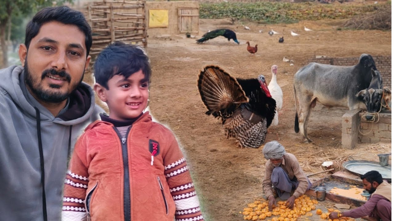 Dehat Ka Pyara Manzar | Mor, Turkey aur Gaye Ka sath Khoobsurat Din 🐄🦚