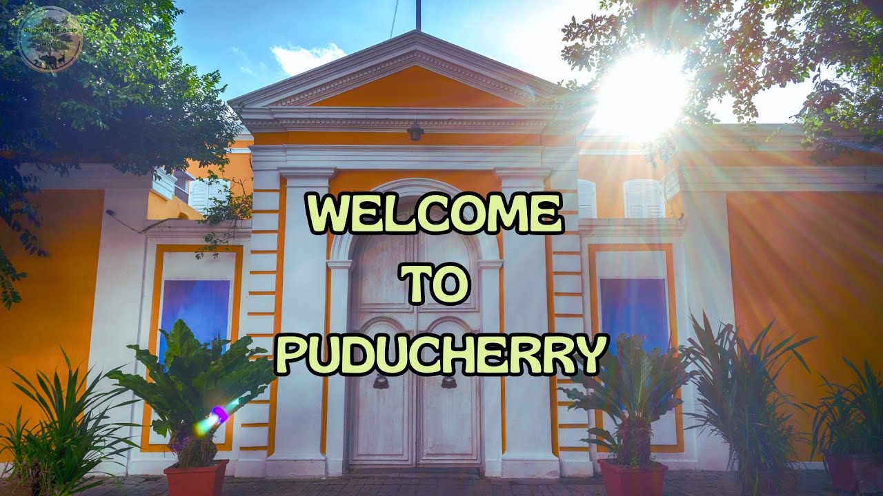 The Most Beautiful Beach in PONDICHERRY!|The White Town #questwildernessandmore