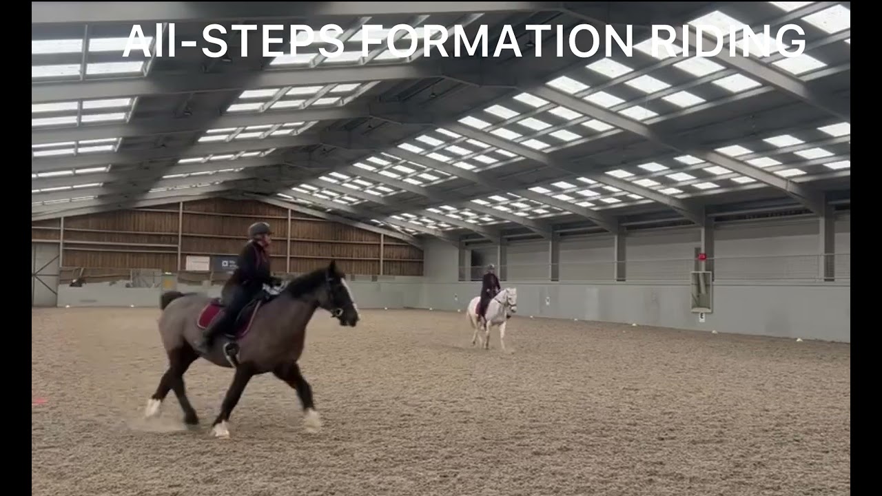 Salt & Pepper 18/02/26 All-Steps Formation Riding clinic 