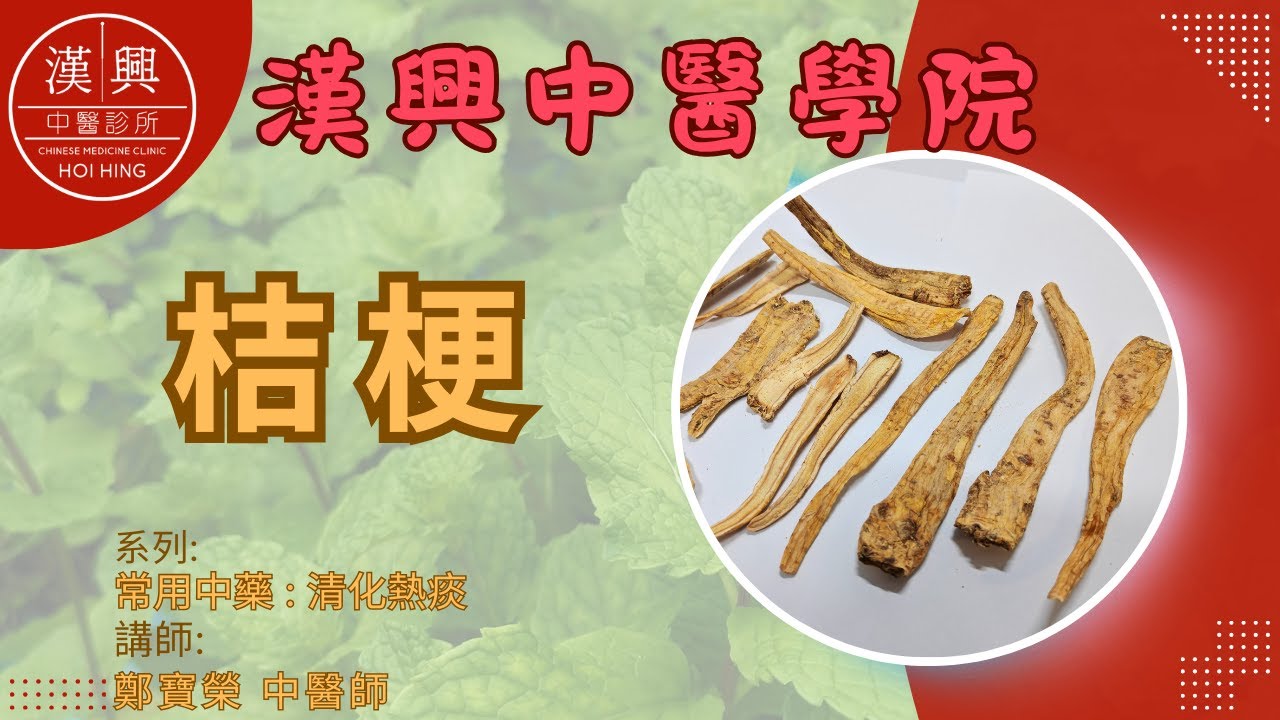 桔梗：宣肺祛痰的中藥奇蹟