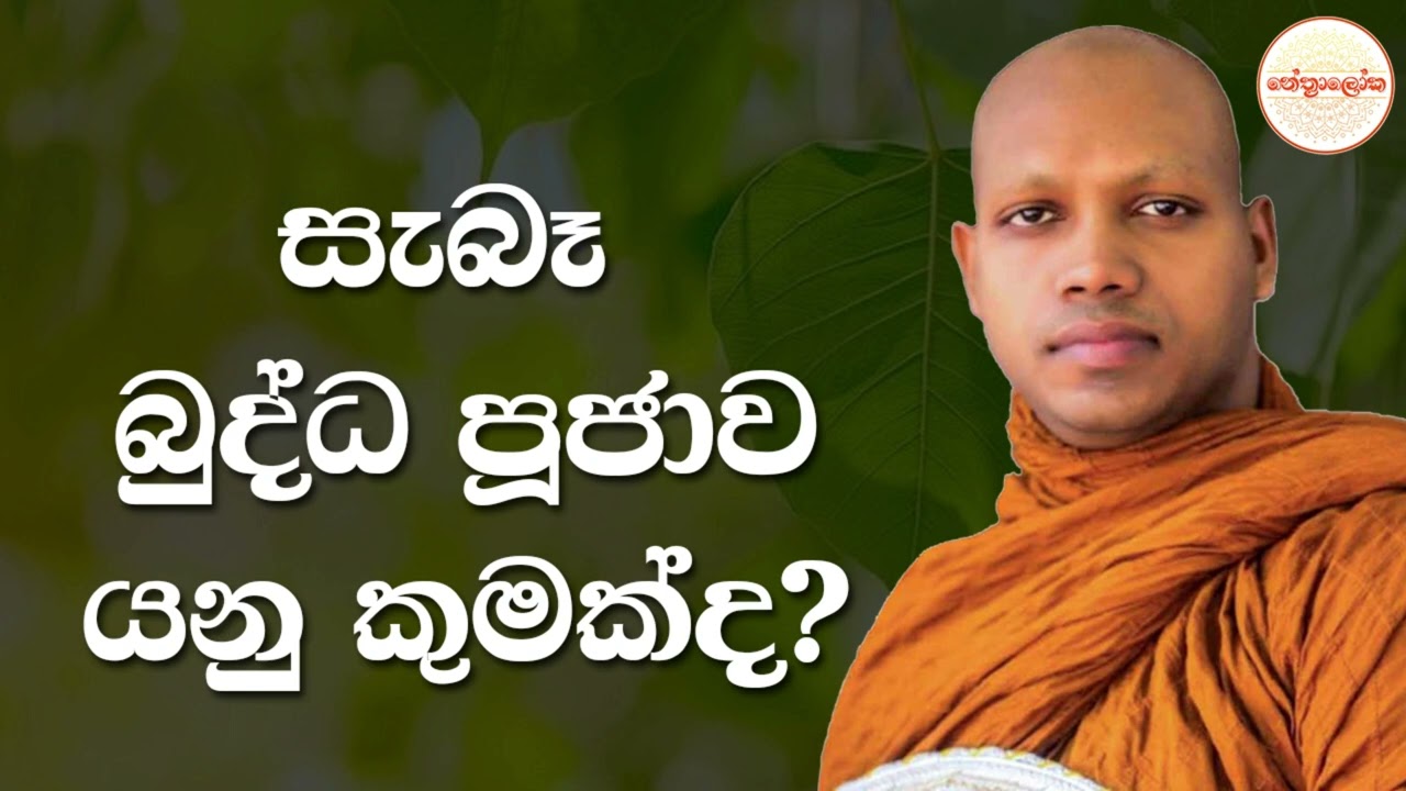 Hasalaka Seelawimala Thero l Dharmadakshina l 2026 03 17