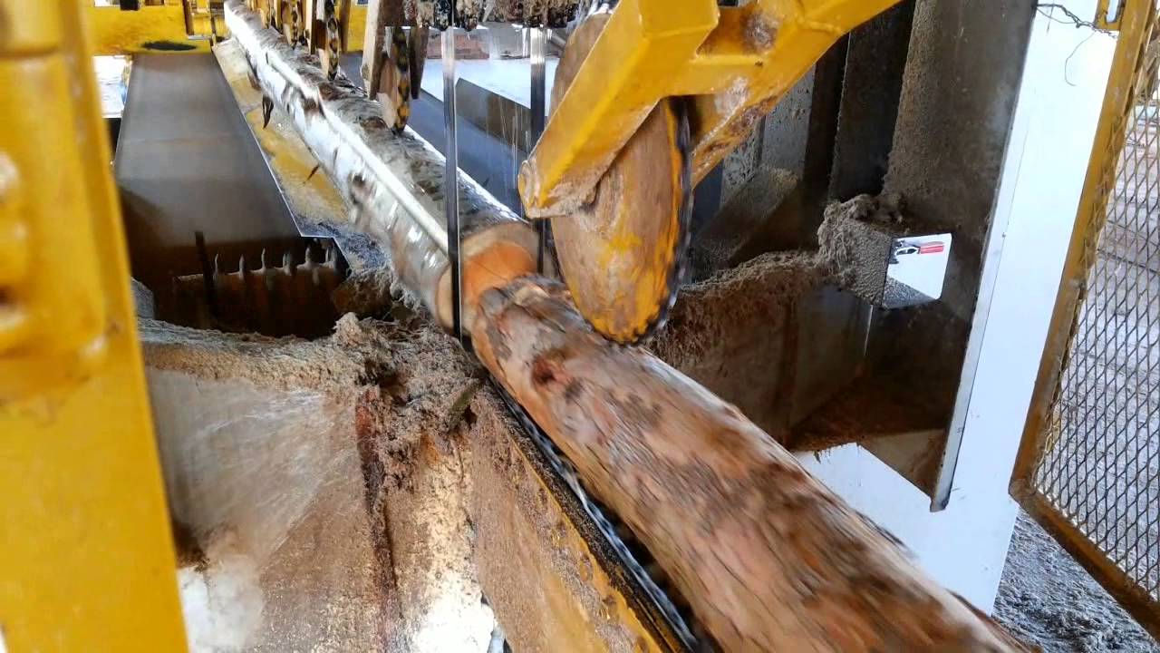 Sierra Cinta Gemela GFORCE